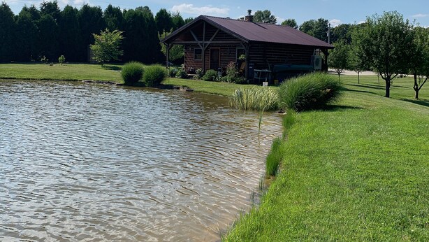 A rustic cabin by a pond with a grassy area and trees in the background.