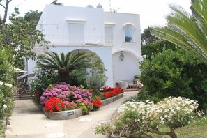 Exterior - Il Sogno (Anacapri)