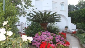 A white building with a garden in front, including various flowers and a palm tree. - Il Sogno (Anacapri)