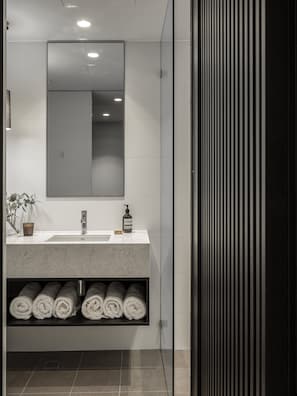 Shower, eco-friendly toiletries, hair dryer, towels