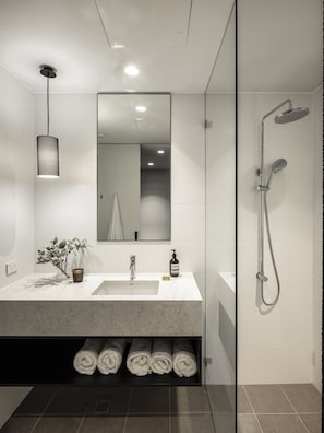 Shower, eco-friendly toiletries, hair dryer, towels