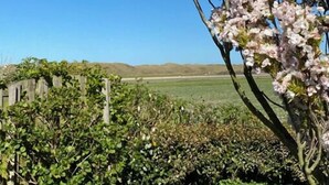 Ein Garten mit blühenden rosa Blumen, einem Holzzaun und einem strahlend blauen Himmel.