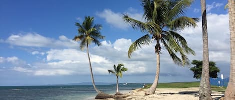 Plage à proximité
