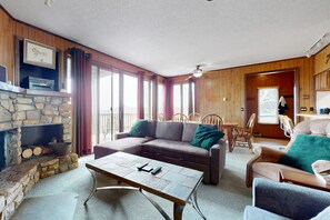 テレビ、暖炉、DVD プレーヤー、書庫