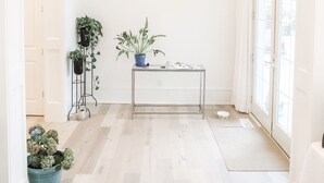 A bright hallway with a white ceiling, a hanging light fixture, a small table with plants, and a potted plant on the floor.