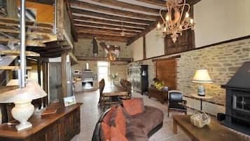 Televisie, een open haard, een dvd-speler en boeken