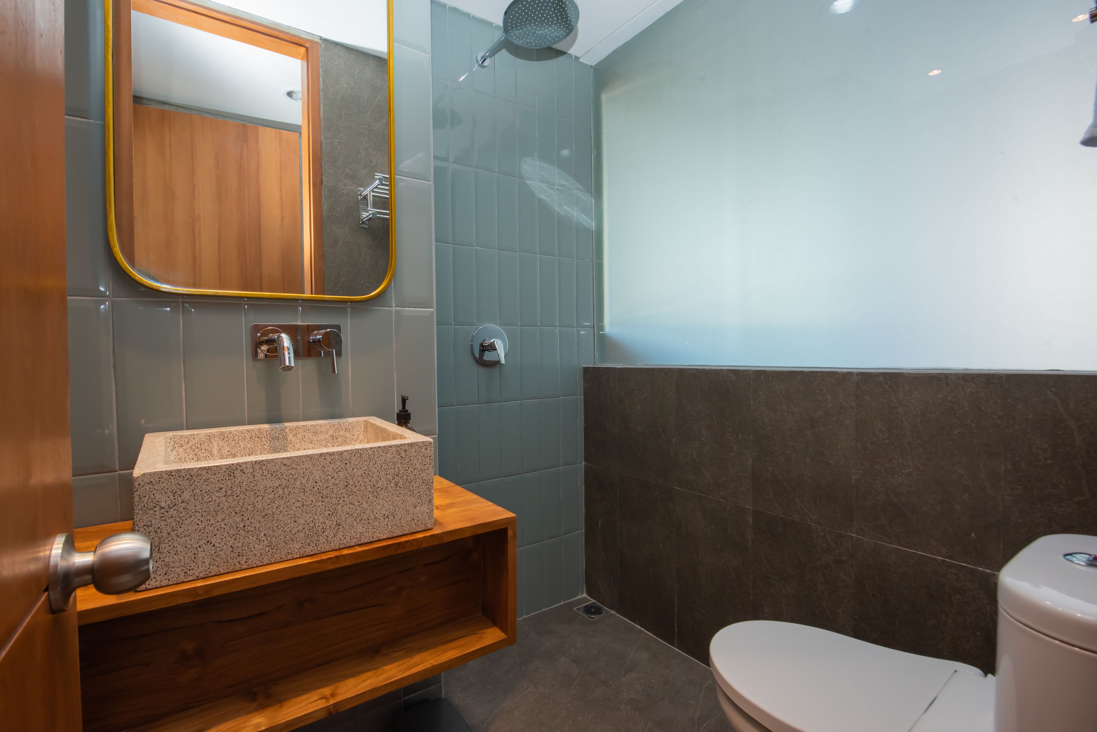 shower, rainfall showerhead, hair dryer, bidet