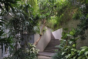 A staircase surrounded by lush greenery and a concrete wall.
