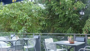 Un patio exterior con mesas y sillas de metal, rodeado de follaje y árboles.
