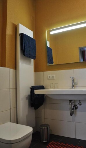 A small bathroom with a toilet, sink, and mirror. - Gasthaus zur Sonne (Triefenstein)