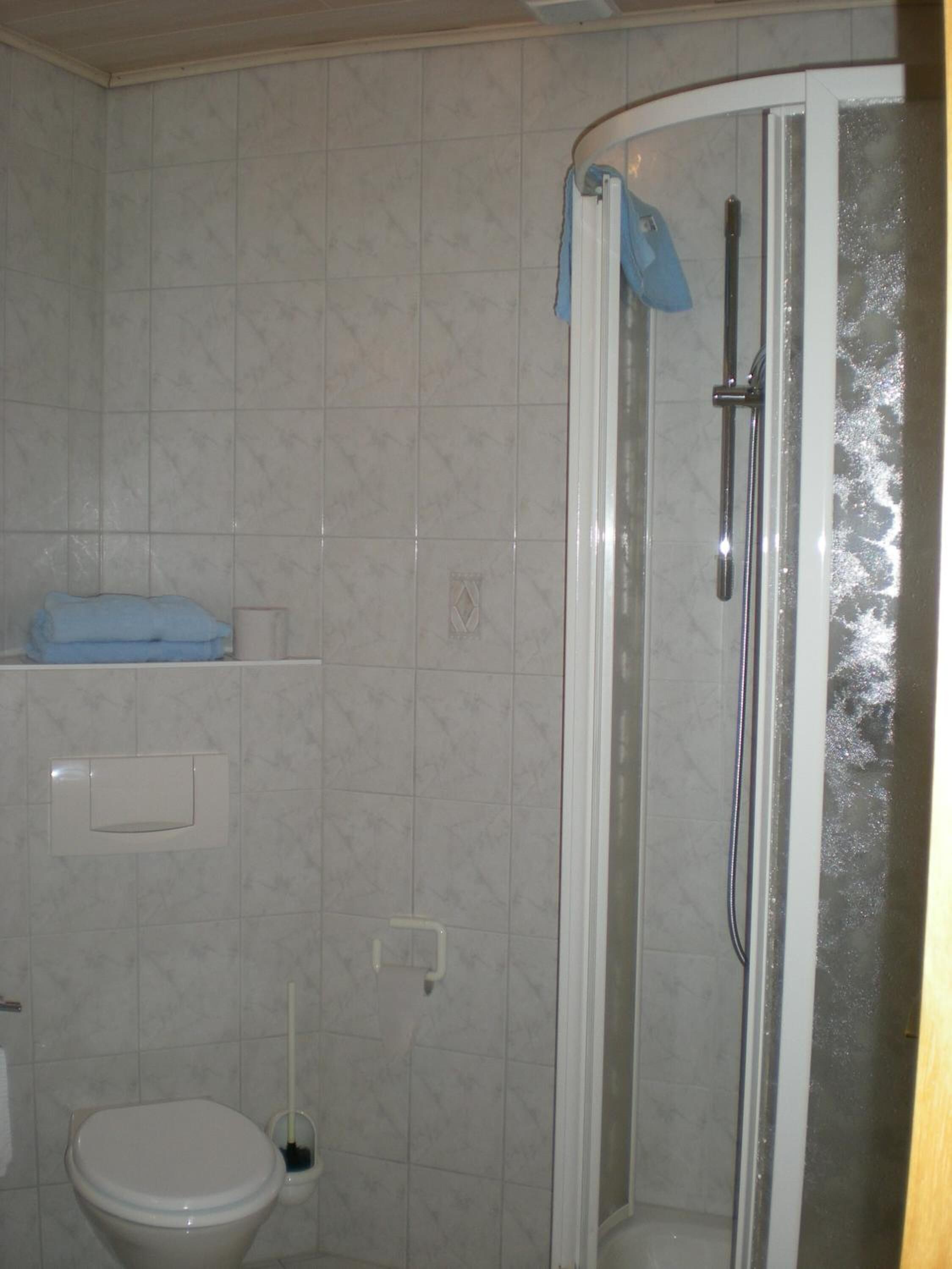 Ein Badezimmer mit Toilette, Dusche und Handtuchhalter.