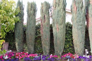 Jardines del alojamiento