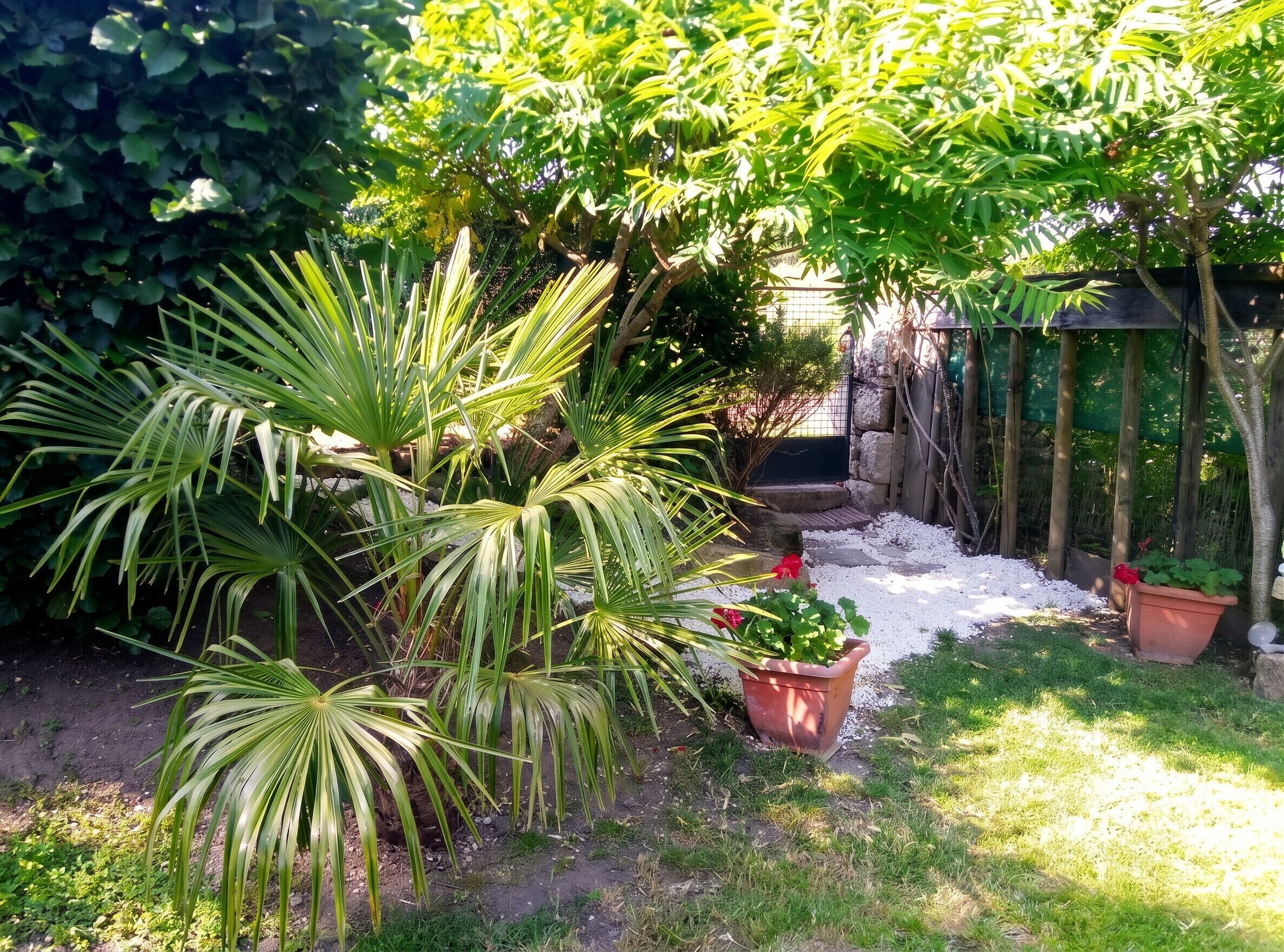 Terrein van de accommodatie