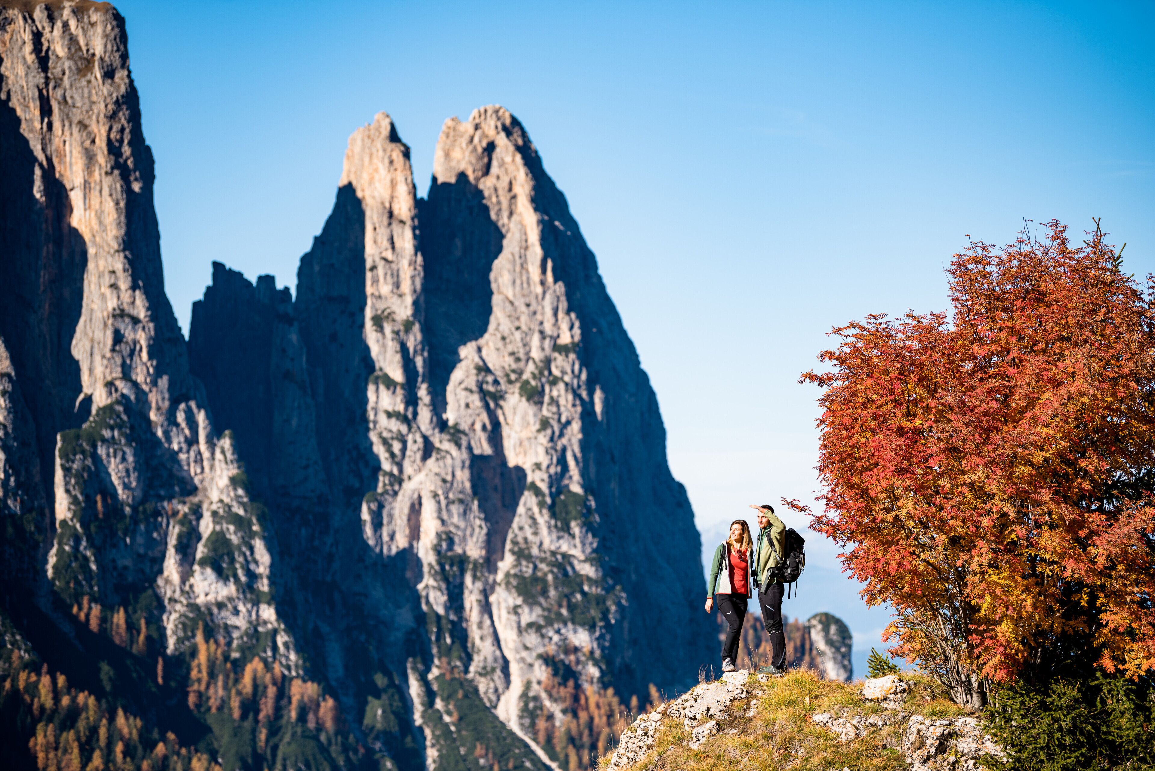 A mountainous landscape with rocky cliffs and a tree with autumn leaves.