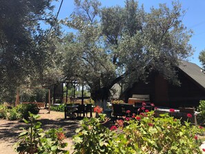 Enceinte de l’hébergement