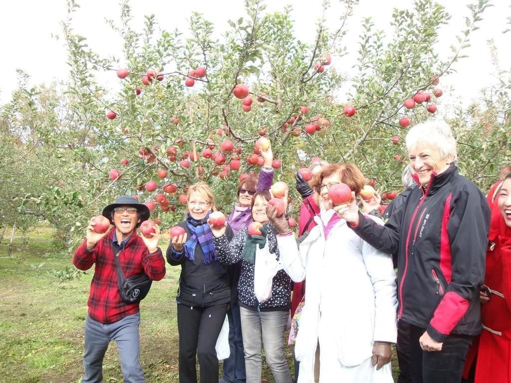 Un grupo de personas en un huerto sosteniendo manzanas.