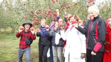 Un grupo de personas en un huerto sosteniendo manzanas.