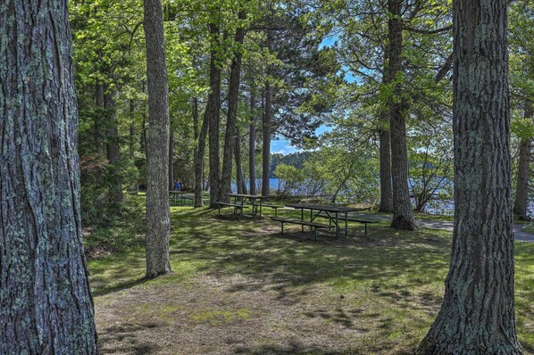 A park with picnic tables and benches, surrounded by tall trees and a lake in the background.