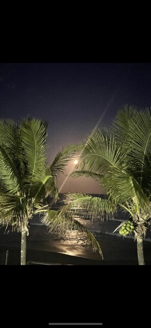 On the beach, sun-loungers - BRISA-DO-MAR, IS 1,300KMT FROM THE CENTER OF Porto. (Porto de Galinhas)