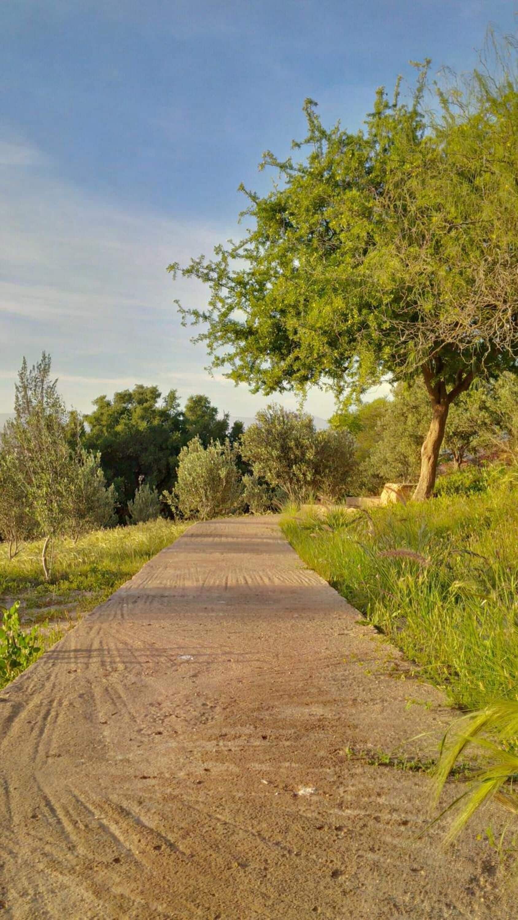 Foto - Villa du Souss