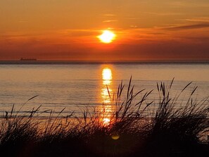 Un coucher de soleil sur une mer calme, avec un navire à l’horizon et de l’herbe au premier plan.