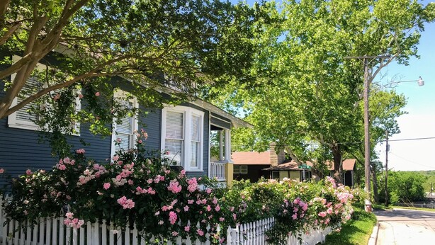 Une maison avec une clôture blanche en bois, des arbustes aux fleurs roses et un ciel bleu azur.