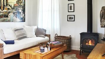 TV, fireplace, books, video library
