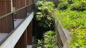 Un edifici modern amb façana de fusta, un balcó amb barana de metall i vegetació abundant que envolta l'estructura.