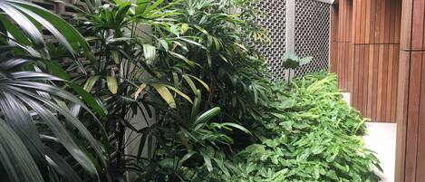 Un exuberante jardín verde con follaje denso y una cerca de madera.