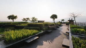 A rooftop garden with pathways, benches, and trees.