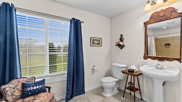 Ducha y bañera combinadas, bañera de hidromasaje y secador de pelo