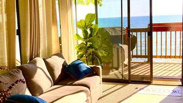 Smart TV, fireplace, Netflix, DVD player