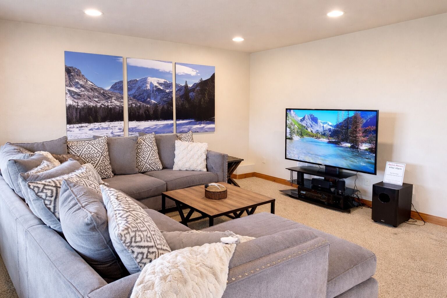 Smart TV, fireplace, DVD player, books