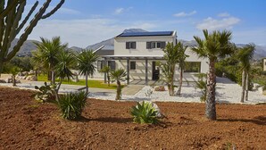 A modern house with a flat roof, surrounded by a landscaped garden with palm trees and a cactus.