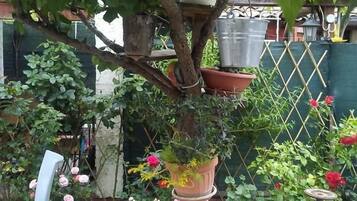 Jardin