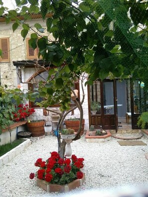 Un giardino con un albero, fiori rossi e diverse piante in vaso.
