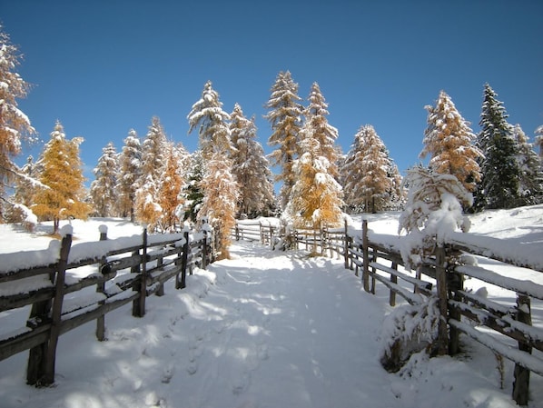 Parco della struttura