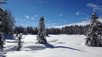 Deportes de invierno y ski