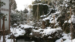 Een traditionele Japanse tuin met een vijver met koi karpers, besneeuwde bomen en houten constructies.