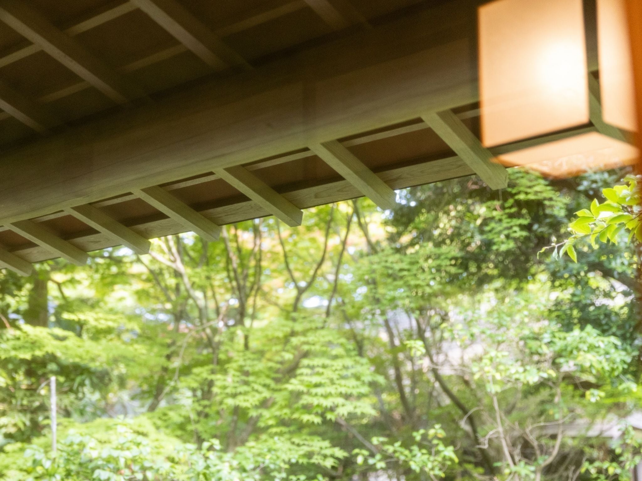 A wooden ceiling structure with a view of a lush green forest.