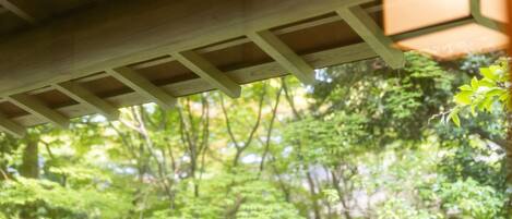 A wooden ceiling structure with a view of a lush green forest.
