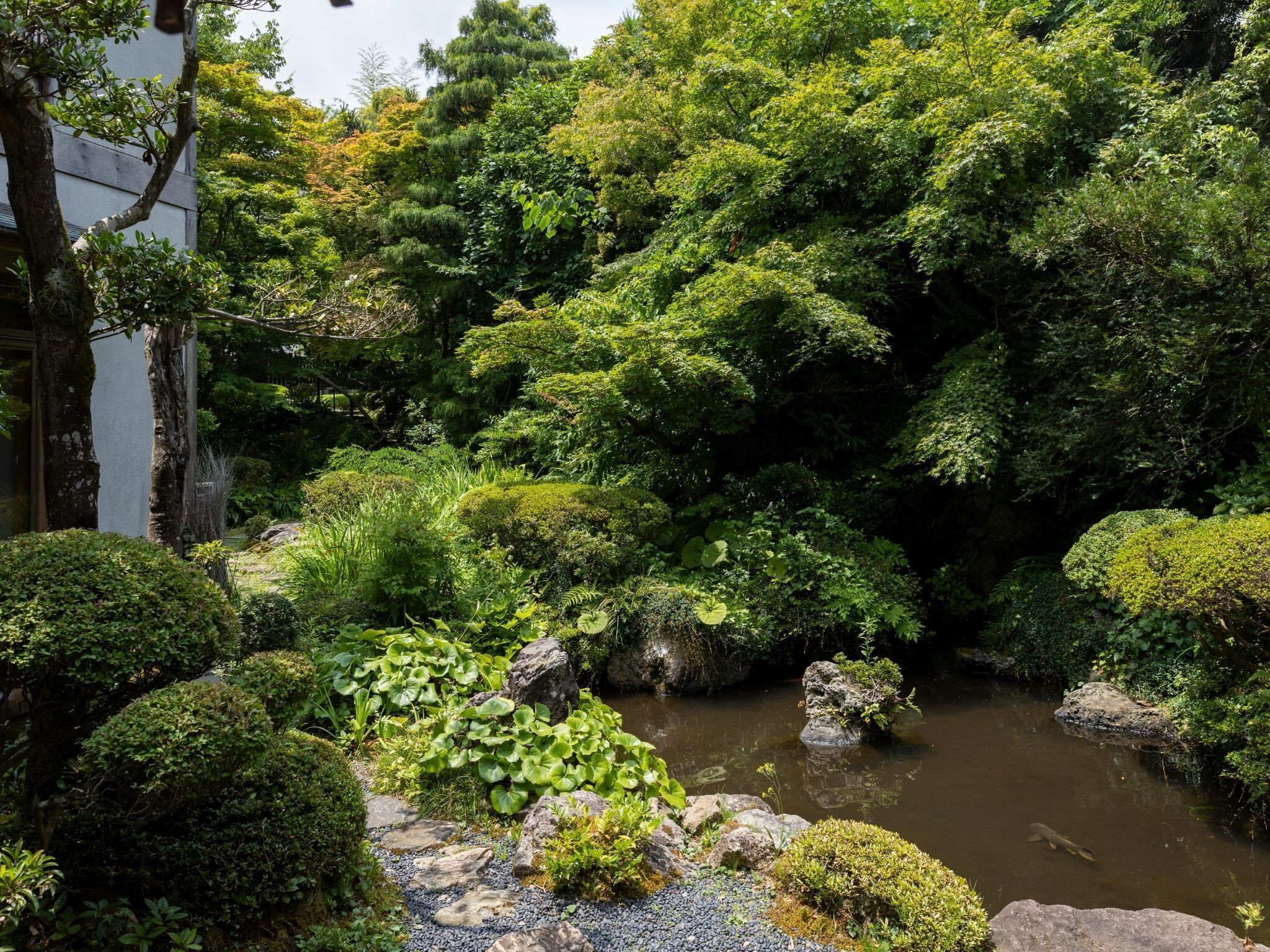A serene garden with a pond, lush greenery, and a stone pathway.