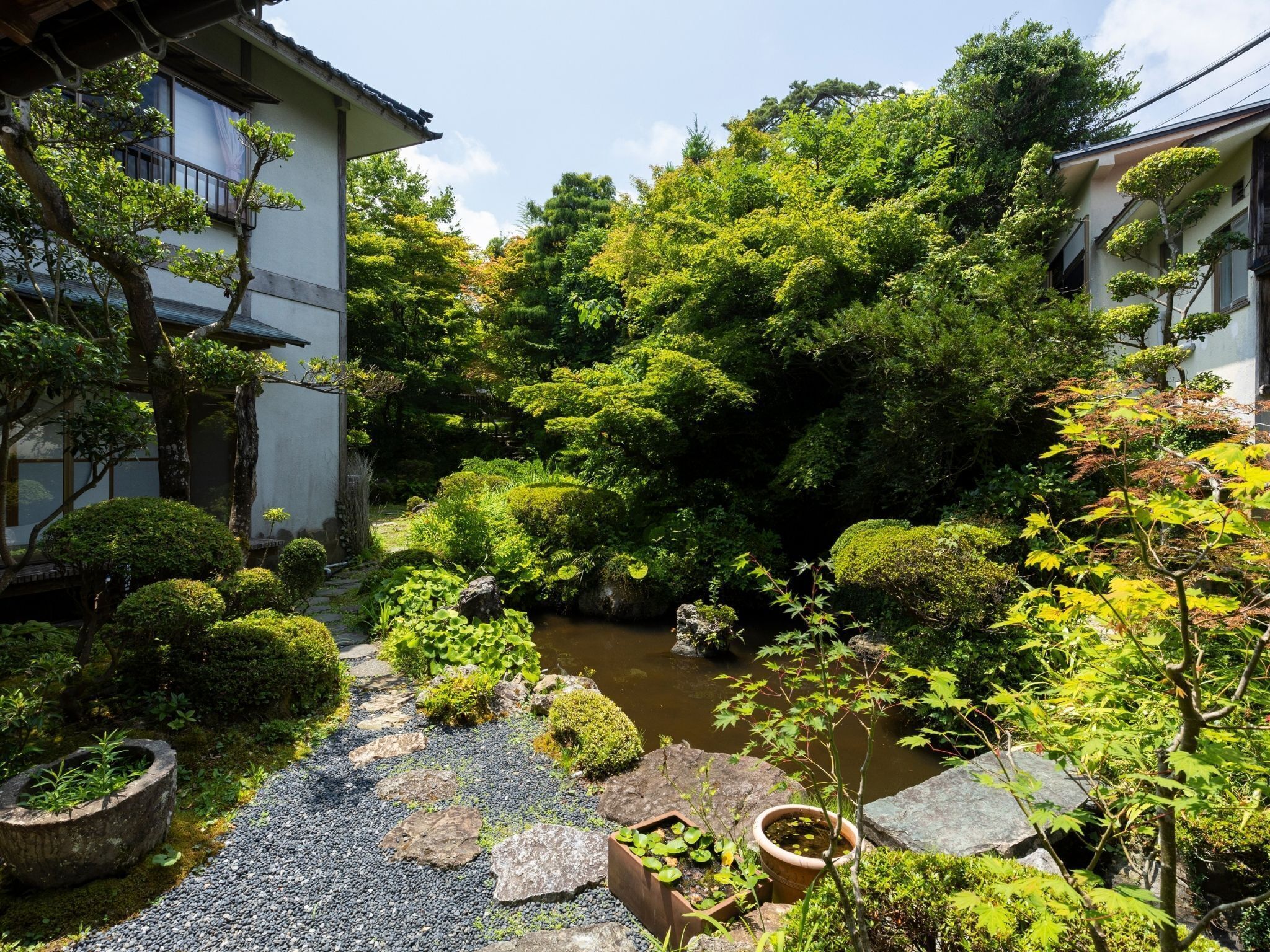 Un jardín japonés tradicional con un estanque de carpas koi, senderos de piedra y diversas plantas.
