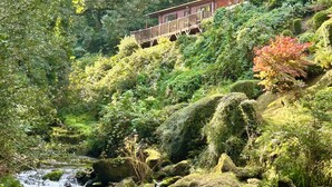 Eine Holzhütte mit Balkon, umgeben von üppigem Grün und einem kleinen Bach.