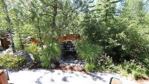 A garden with a small waterfall, surrounded by various plants and rocks.