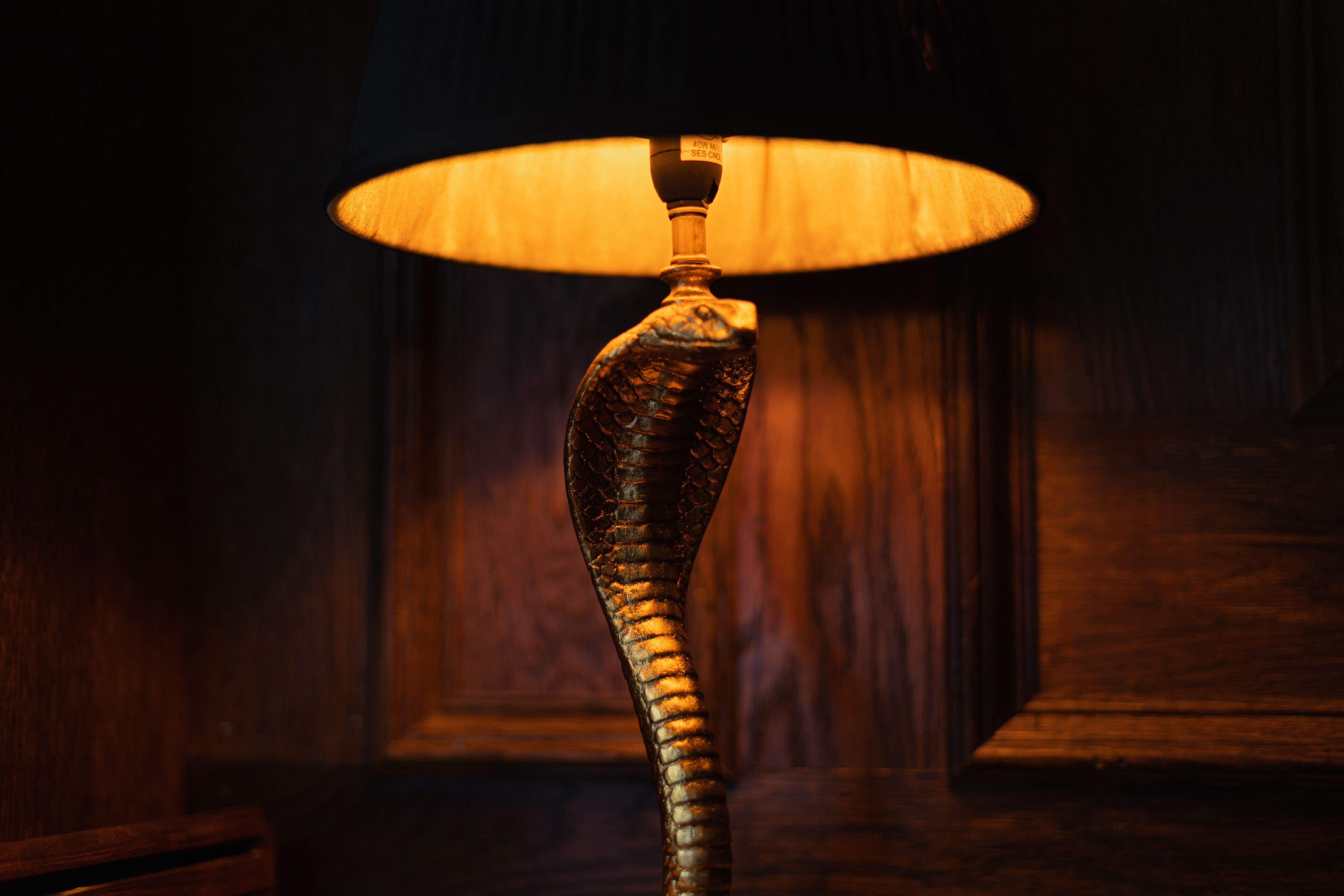 A lamp with a unique design, featuring a snake-like base and a round, illuminated shade.