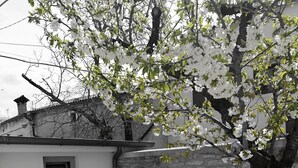 Un cortile con un muro in pietra, una bicicletta, sedie in metallo, un tavolo e un albero con fiori bianchi.
