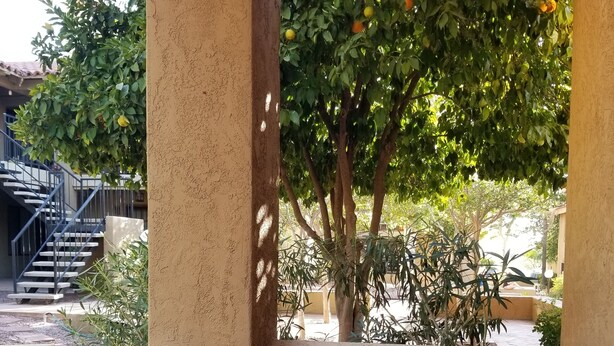 شرفة/رواق