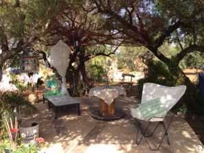 Un espace extérieur aménagé avec une table et des chaises, situé sous un grand arbre.