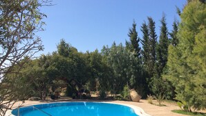 Una piscina con bordo piastrellato, circondata da alberi e piante.